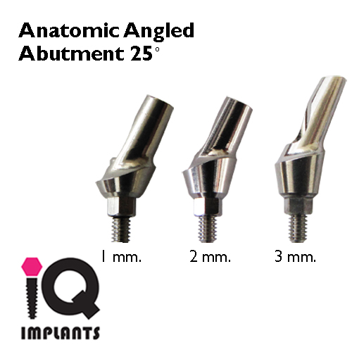 anatomic anguled 25 1 23 LOGO anatomic anguled 25 1 23 LOGO