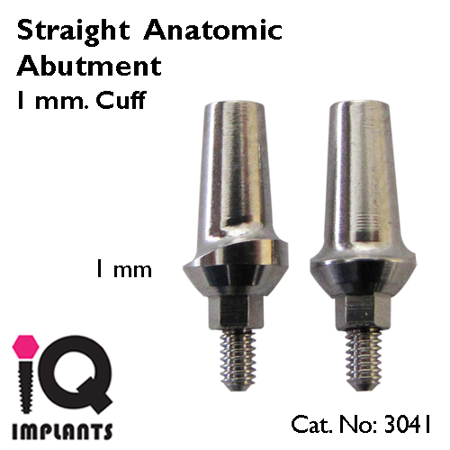straight anatomic 1mm copy straight anatomic 1mm copy