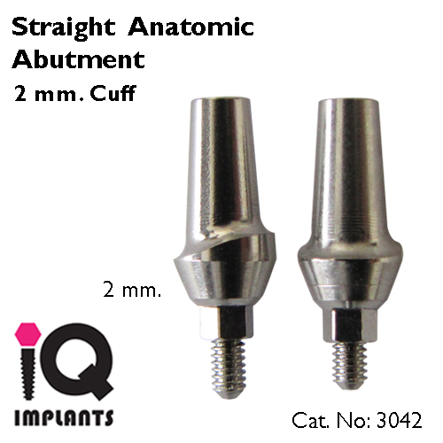 straight anatomic abutment 2mm copy straight anatomic abutment 2mm copy