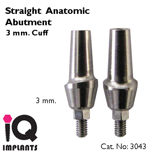 straight anatomic abutment 3mm copy straight anatomic abutment 3mm copy