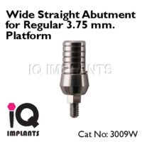WideStraightAbutmentforegularplatform